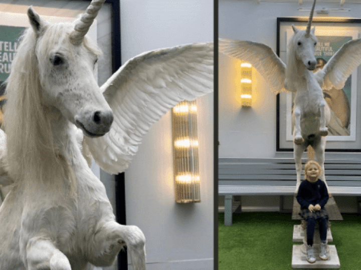 Every little girl’s ultimate Christmas gift? Unique giant unicorn up for auction