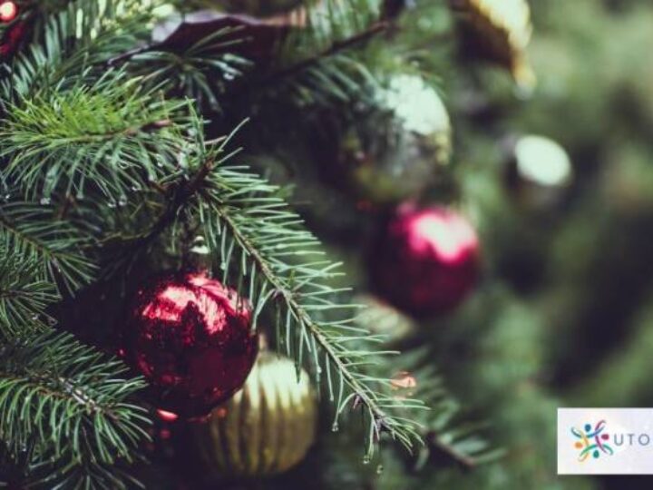 Enjoy music, mulled wine and festive magic at Bishton Hall Christmas Fayre
