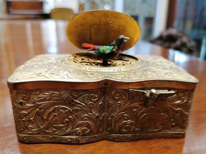 Discovery of singing bird box is music to our ears