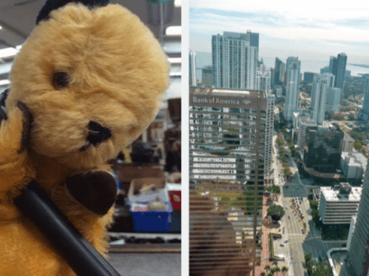 New glam life in MIAMI for Sooty after entrepreneur buys him for wife