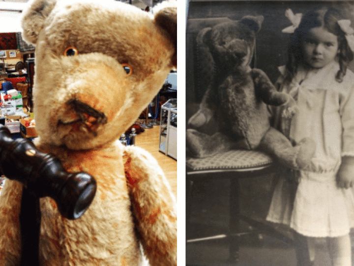 Teddy bear treasured by owner for 99 years needs new loving home