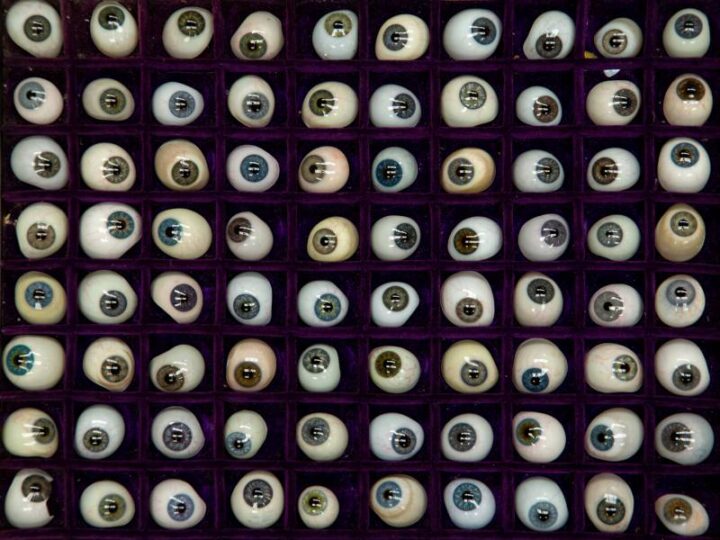 The strangest antiques find ever? Hundreds of glass eyes found in Lichfield