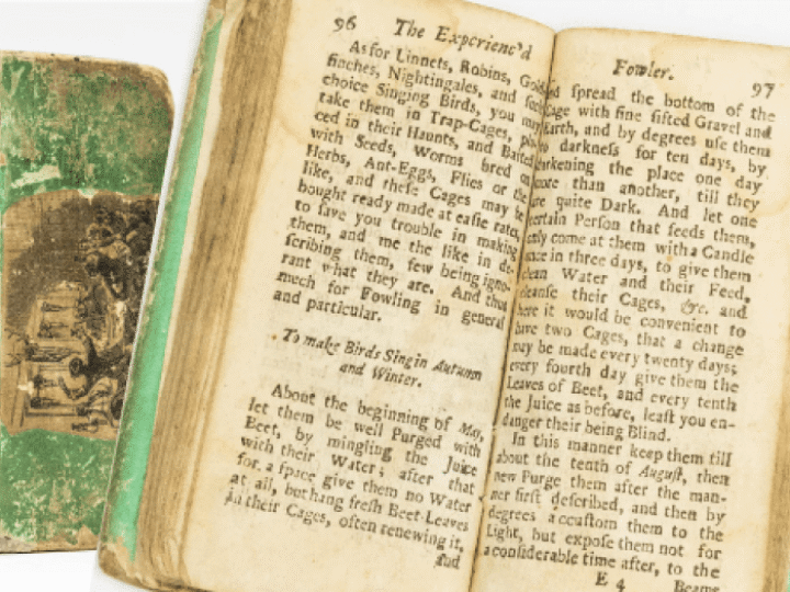 Beer for the birds! Ancient book reveals bizarre tip to get feathered friends singing in spring