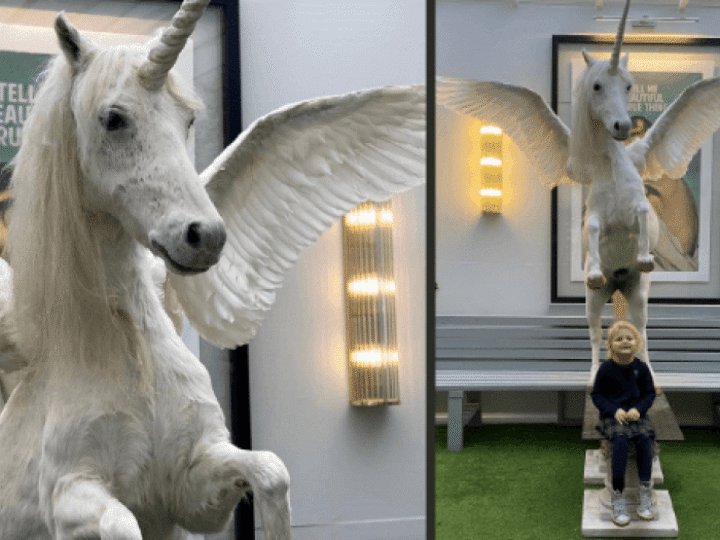 Every little girl’s ultimate Christmas gift? Unique giant unicorn up for auction