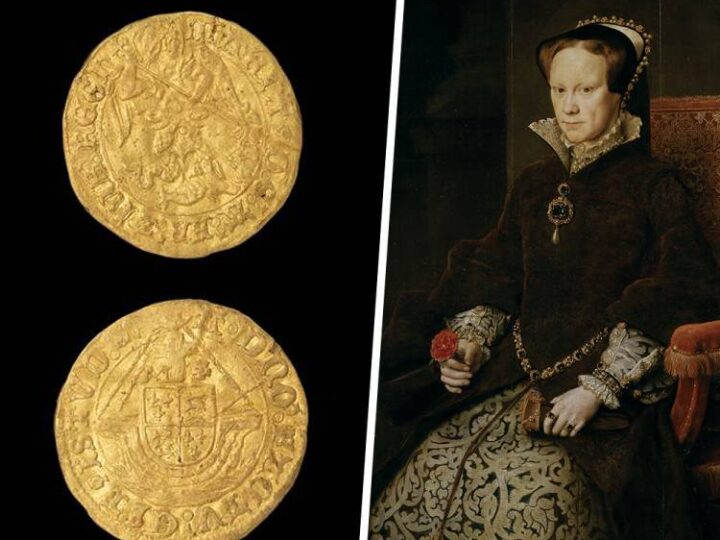 ‘Extremely rare’ 467-year-old Tudor coin found by metal detectorist could sell for thousands