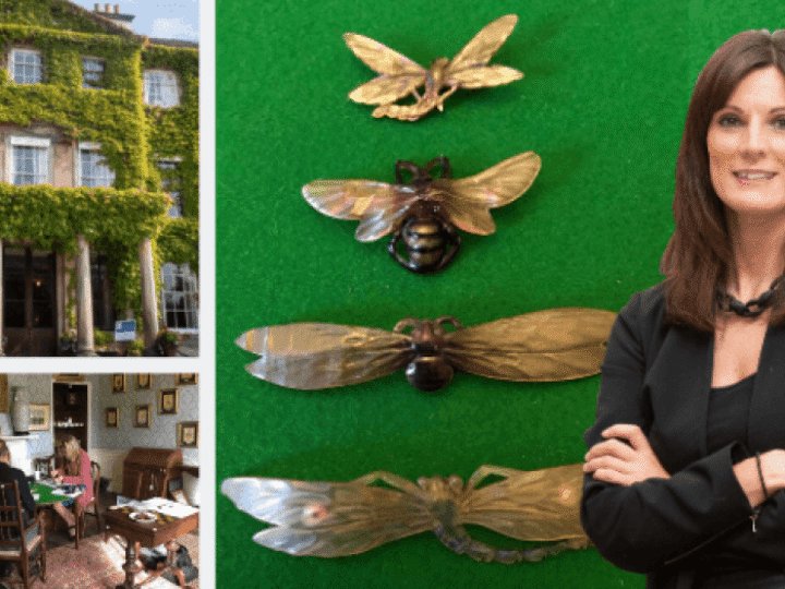 Rare Art Nouveau insect brooches fly into limelight during house clearance