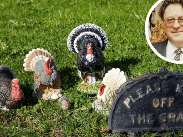Turkeys aren&#8217;t just for Christmas! Quirkiest collection EVER seen by Charles Hanson found at house