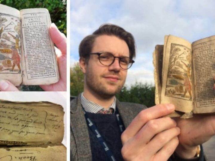 Snakes alive! Rare book from 1704 reveals how to battle UK  snakes with onions and radishes!
