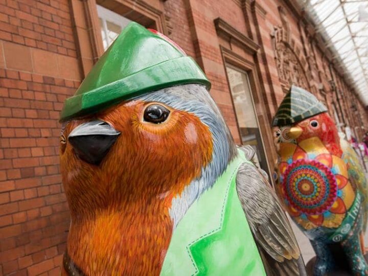 Hoodwinked robins prepare to fly at auction