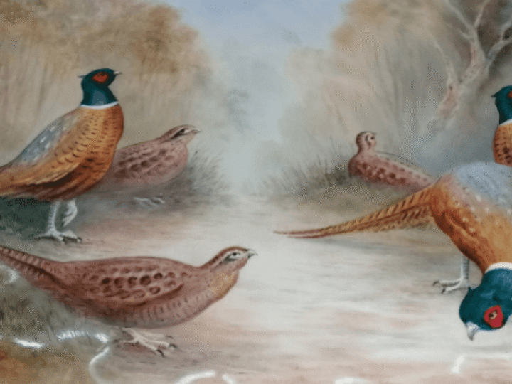 Pheasants galore strut into July auction thanks to &#8216;extraordinary&#8217; ceramics collection discovered in Derbyshire