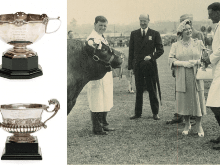 Silver trophies celebrating farming family&#8217;s century of success up for auction