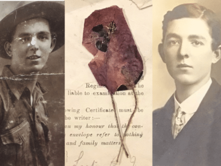 WW1 poppy from 1916 French battlefield where soldier died – picked by his heartbroken brother – uncovered