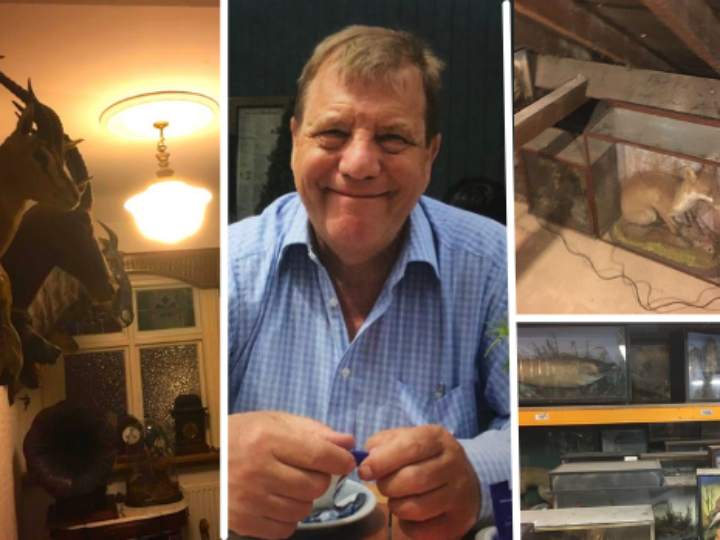 Husband’s secret taxidermy collection &#8211; found squirrelled away in loft &#8211; set for auction