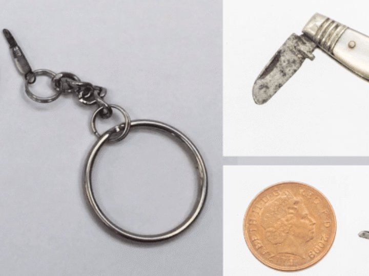 World’s smallest penknife &#8211; tinier than a penny &#8211; among pensioner’s huge lifetime collection of antique weaponry