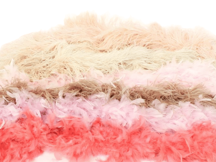 FEATHERS tickle bidders&#8217; fancy! The auction surprises that make everyone’s day