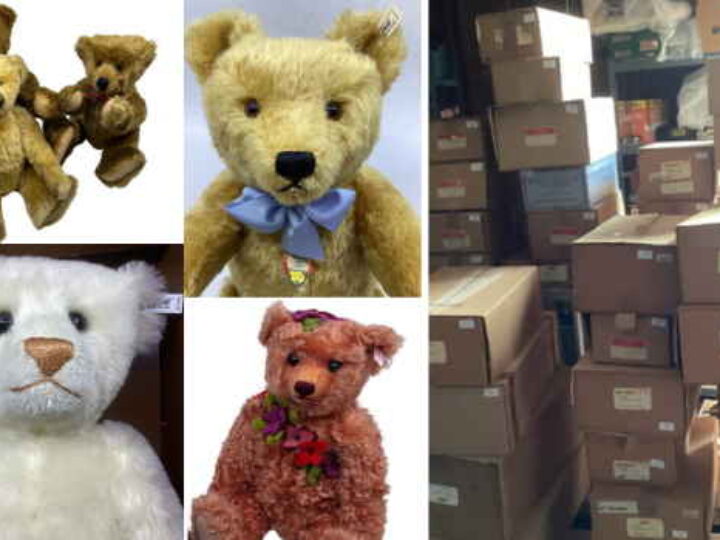 Teddies to rescue! Woman’s 70 cuddly bears could raise thousands for animal charity