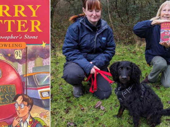 Harry Potter first edition &#8211; gifted to RSPCA charity shop &#8211; raises thousands for animals