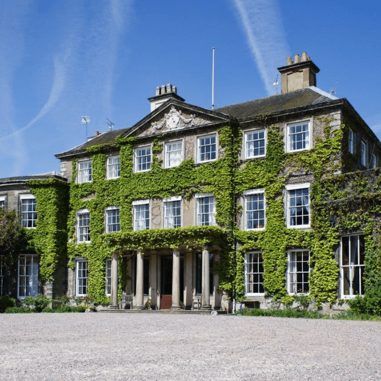 Sparrows Tearoom, Bishton Hall (Saturday)