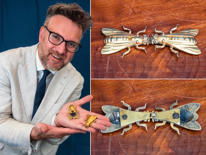 Extremely rare ‘bee’ clasp taken from Napoleon Bonaparte’s apartment on St Helena set to get collectors buzzing