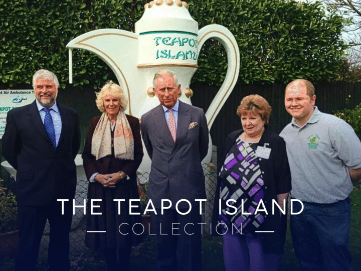 Spout about it! More than 8,000 novelty teapots up for sale in Kent