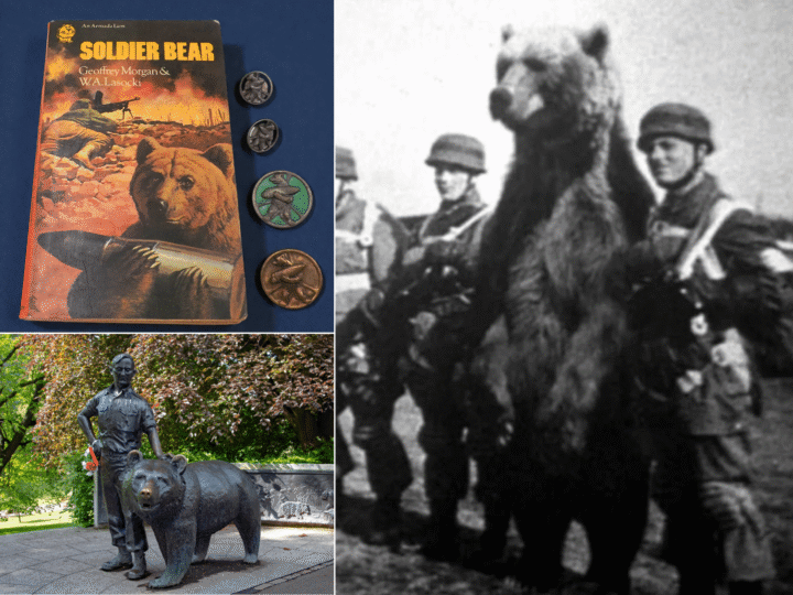 Show me the honey – regimental badge of a bear roars past expectations