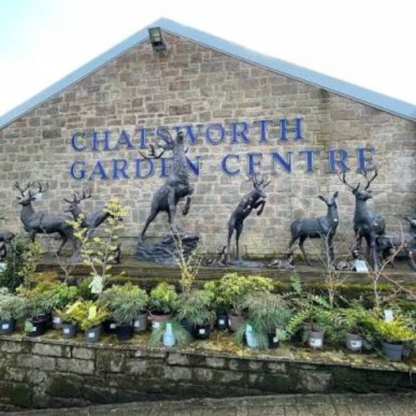 Chatsworth Garden Centre, Chatsworth Estate